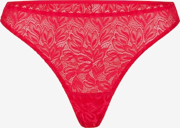 Erlich Textil String 'Dreamy Lace' in Rot: Vorderseite