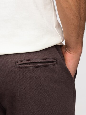 Ombre Regular Pants in Brown