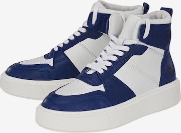 Apple of Eden High-Top Sneakers 'SOFIA' in Blue