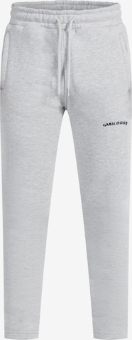 Coupe slim Pantalon 'Merrick' Smilodox en gris : devant