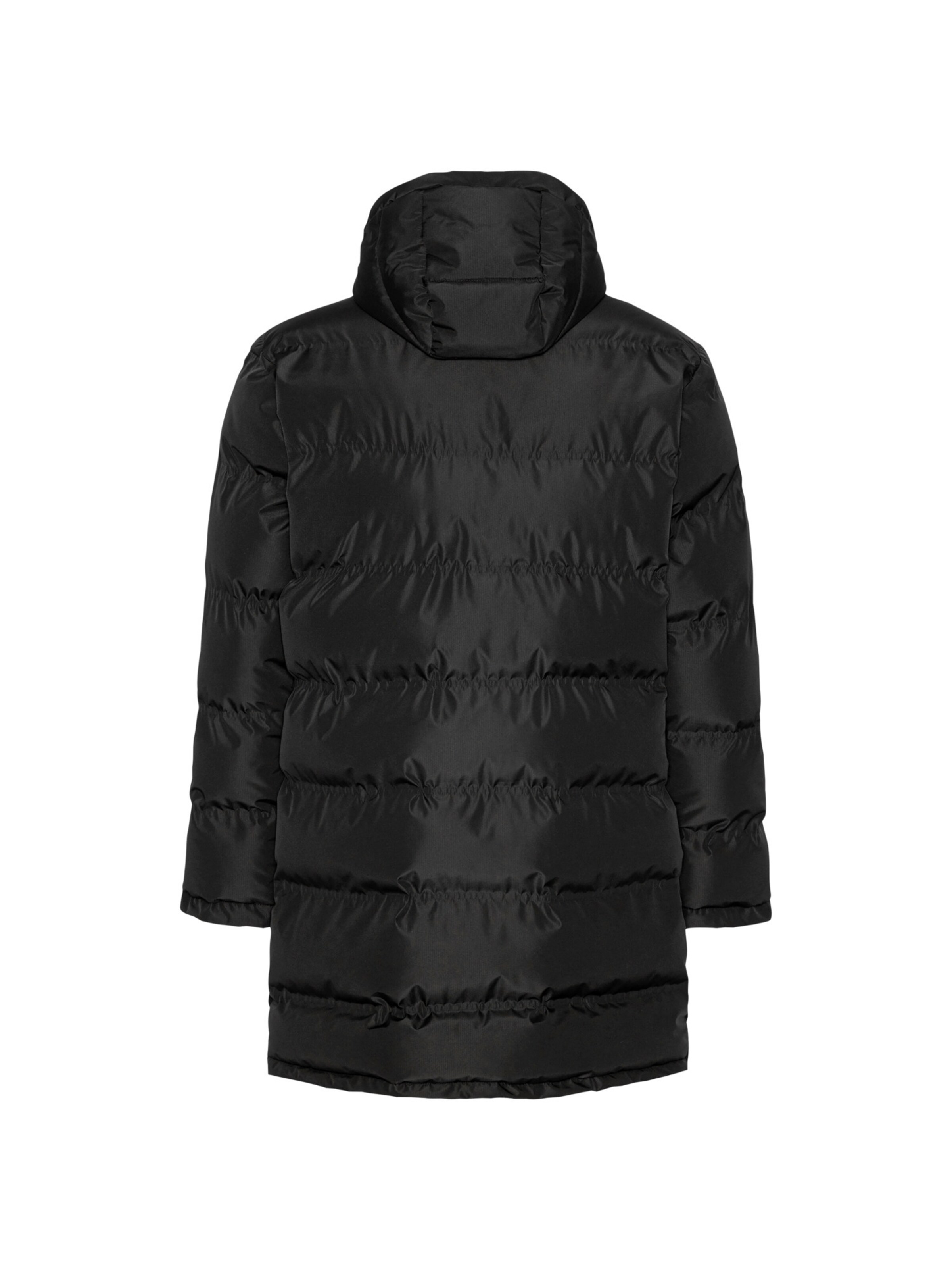 Veste d’hiver 'Birk' Fat Moose en noir