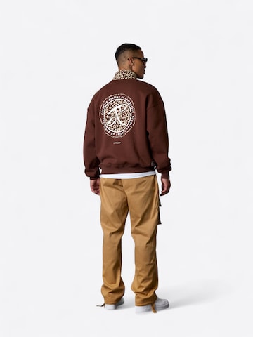 Felpa ' Leo Aesthetics Oversized Halfzip ' di ESTEEM in marrone