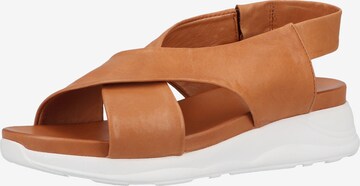 ILC Sandals in Brown: front