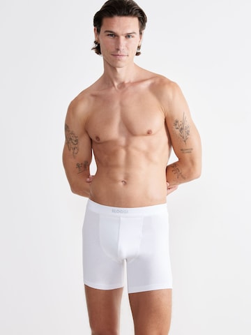 SLOGGI Boxer shorts ' EVER Ease Short ' in White: front