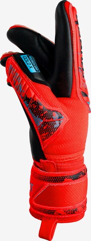REUSCH Athletic Gloves in Red