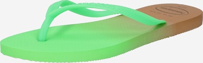 Infradito HAVAIANAS di colore marrone / verde chiaro, Visualizzazione prodotti