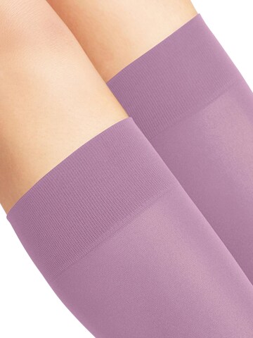 FALKE Overknee Strümpfe 'Pure Matt'‌‌‌‌‌‌‌‌‌‌ in Pink