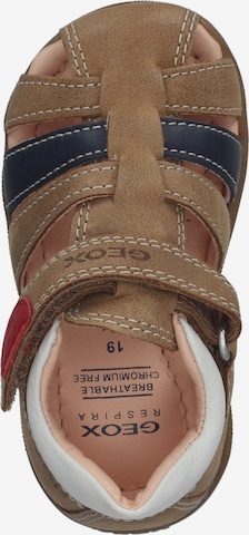 GEOX Open schoenen in Bruin