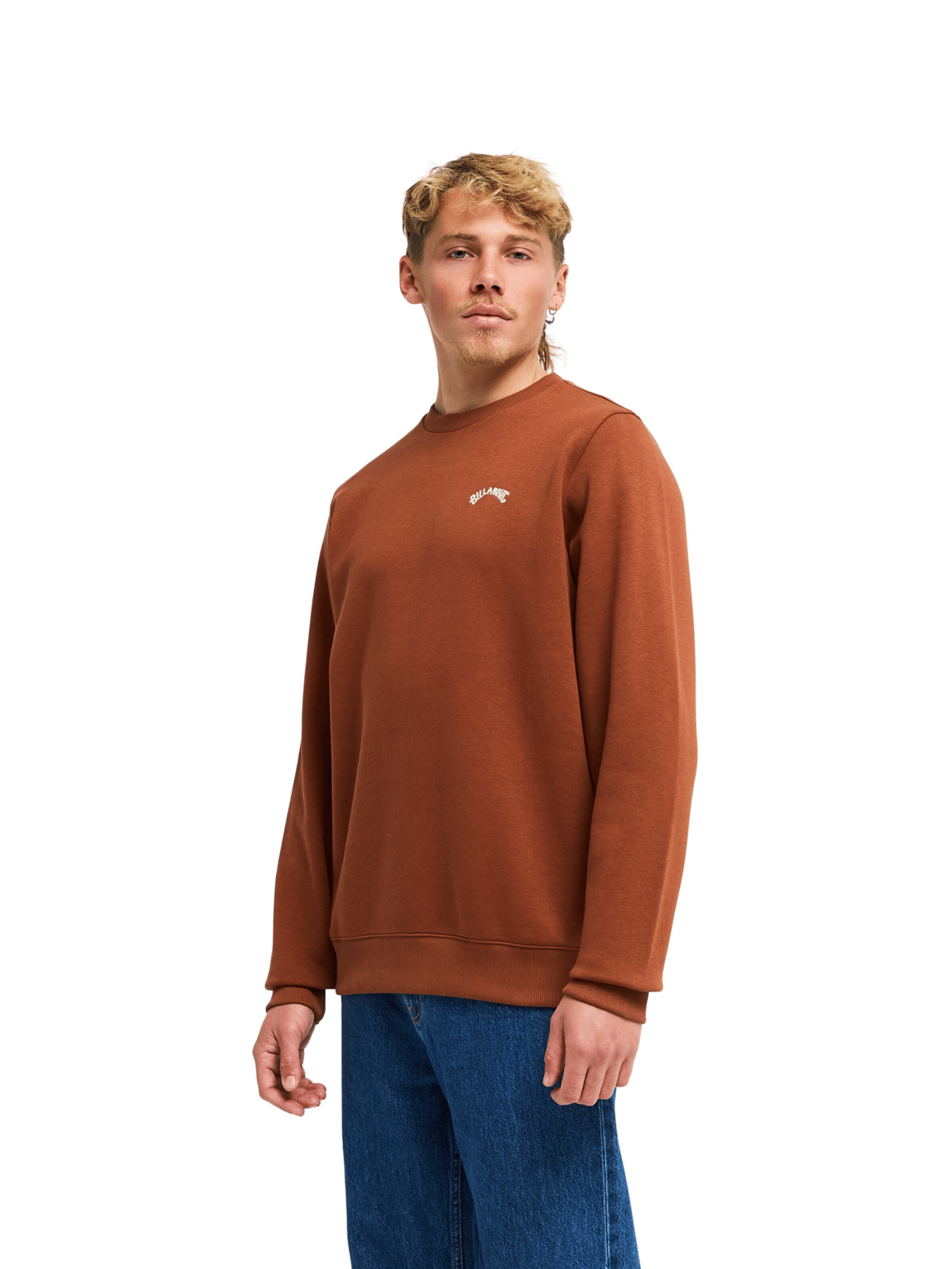 BILLABONG Sweatshirt 'Arch' in Brown