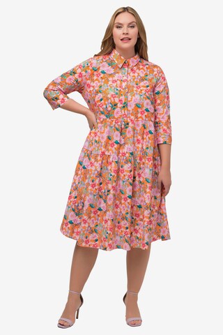 Ulla Popken Dress in Mixed colors: front