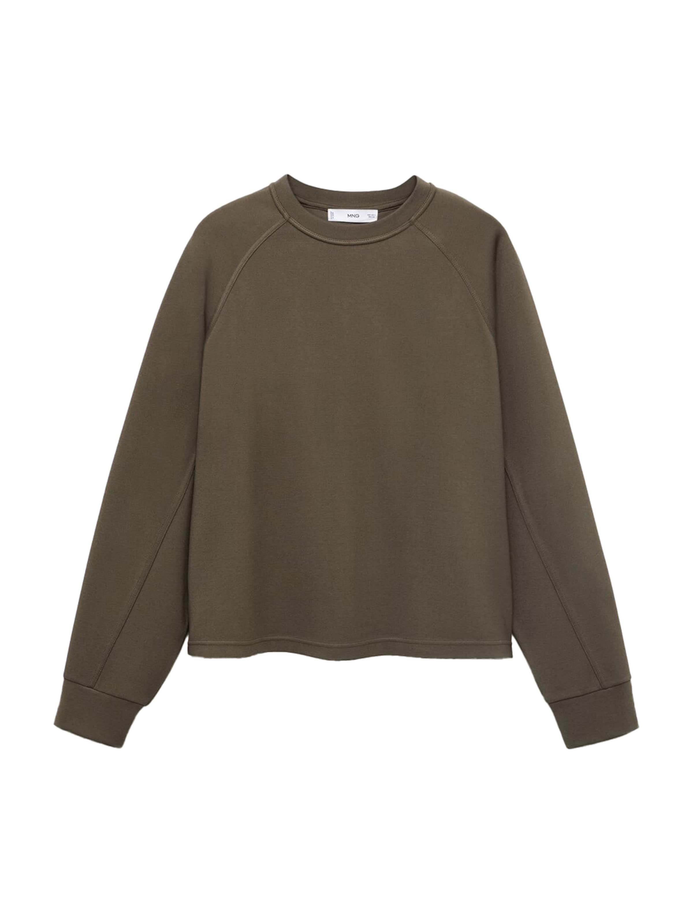 MANGO Sweatshirt 'FLORIDA' in Brown: front