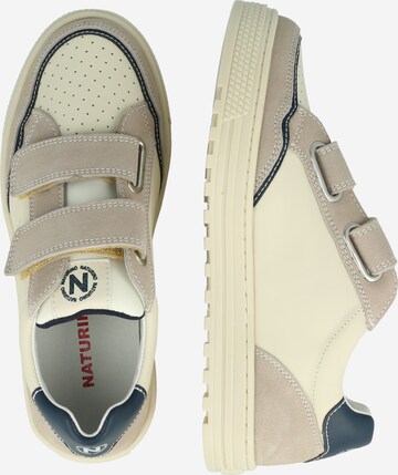 NATURINO Sneakers 'ARITON' i beige