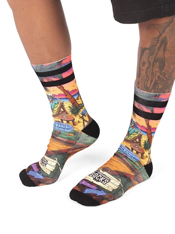 Calzino 'Chiller' di American Socks in marrone