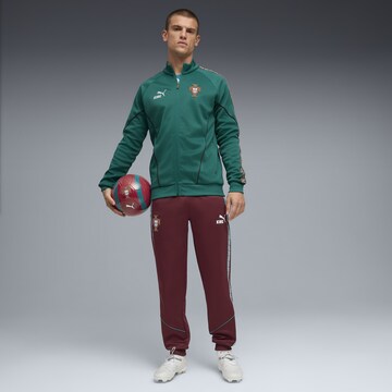 Vestes d’entraînement 'Portugal King' PUMA en vert