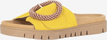 geltona GABOR Šlepetės: priekis