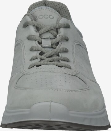 Baskets basses ECCO en gris
