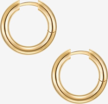 Yokoamii Earrings in Gold