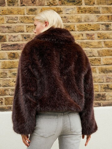 Next Winter jacket in Brown