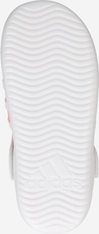 ADIDAS SPORTSWEAR Strand-/badschoen 'Summer Closed Toe Water' in Wit