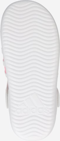 ADIDAS SPORTSWEAR Beach & Pool Shoes 'Summer Closed Toe Water' in White