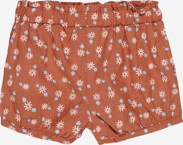 Carter's Regular Shorts in Braun