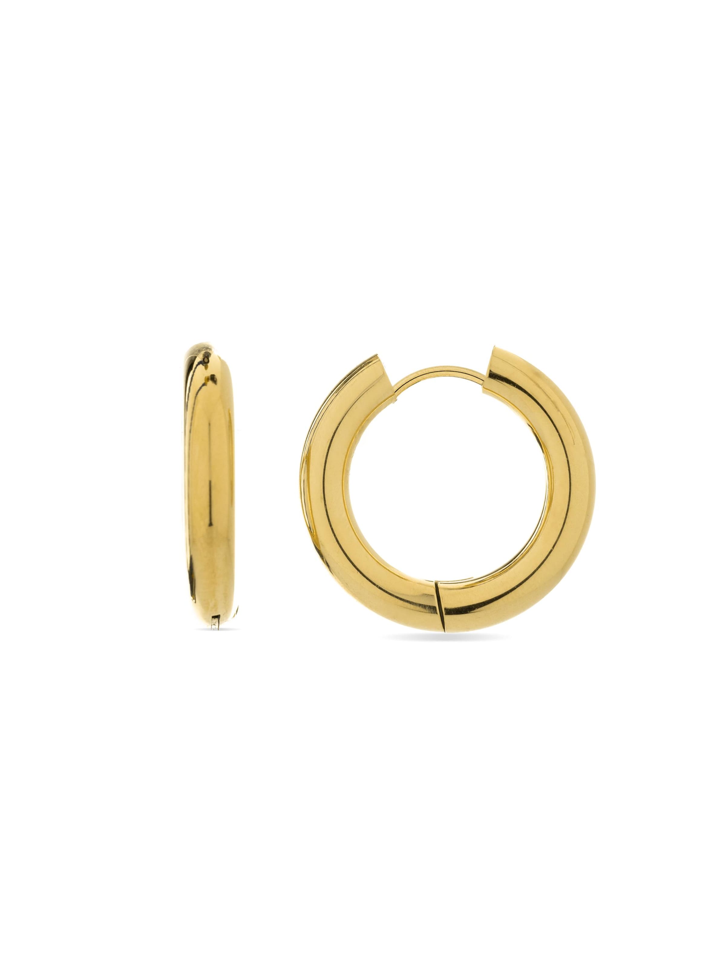 Luxenter Earrings 'Amyck' in Gold: front