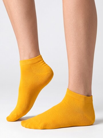 footstar Socks 'EVERYDAY!' in Yellow