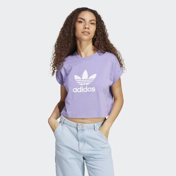 T-shirt 'Adicolor Classics Trefoil' ADIDAS ORIGINALS en violet