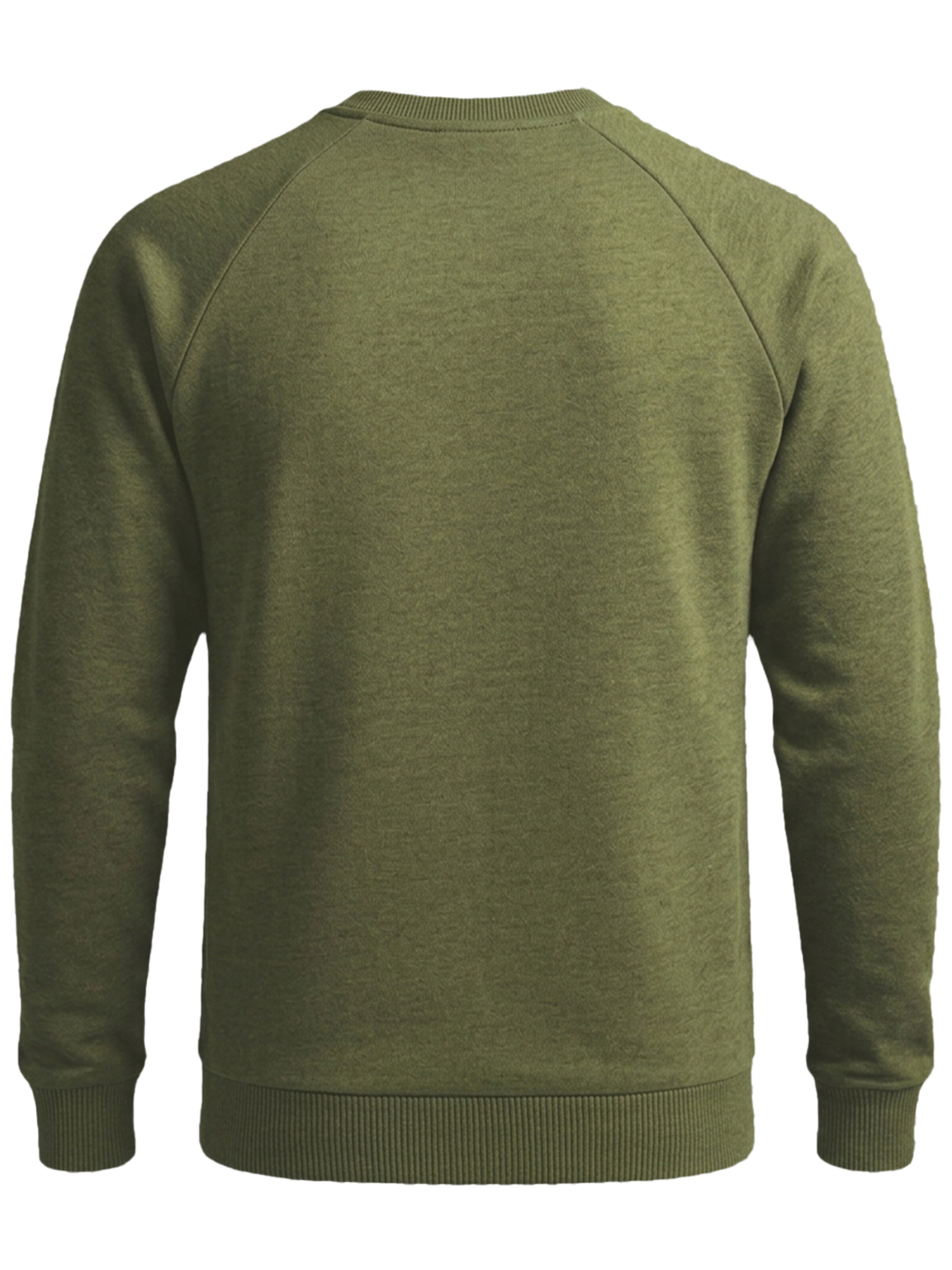 FORSBERG Sweatshirt 'mit Frottee Logo' in Green
