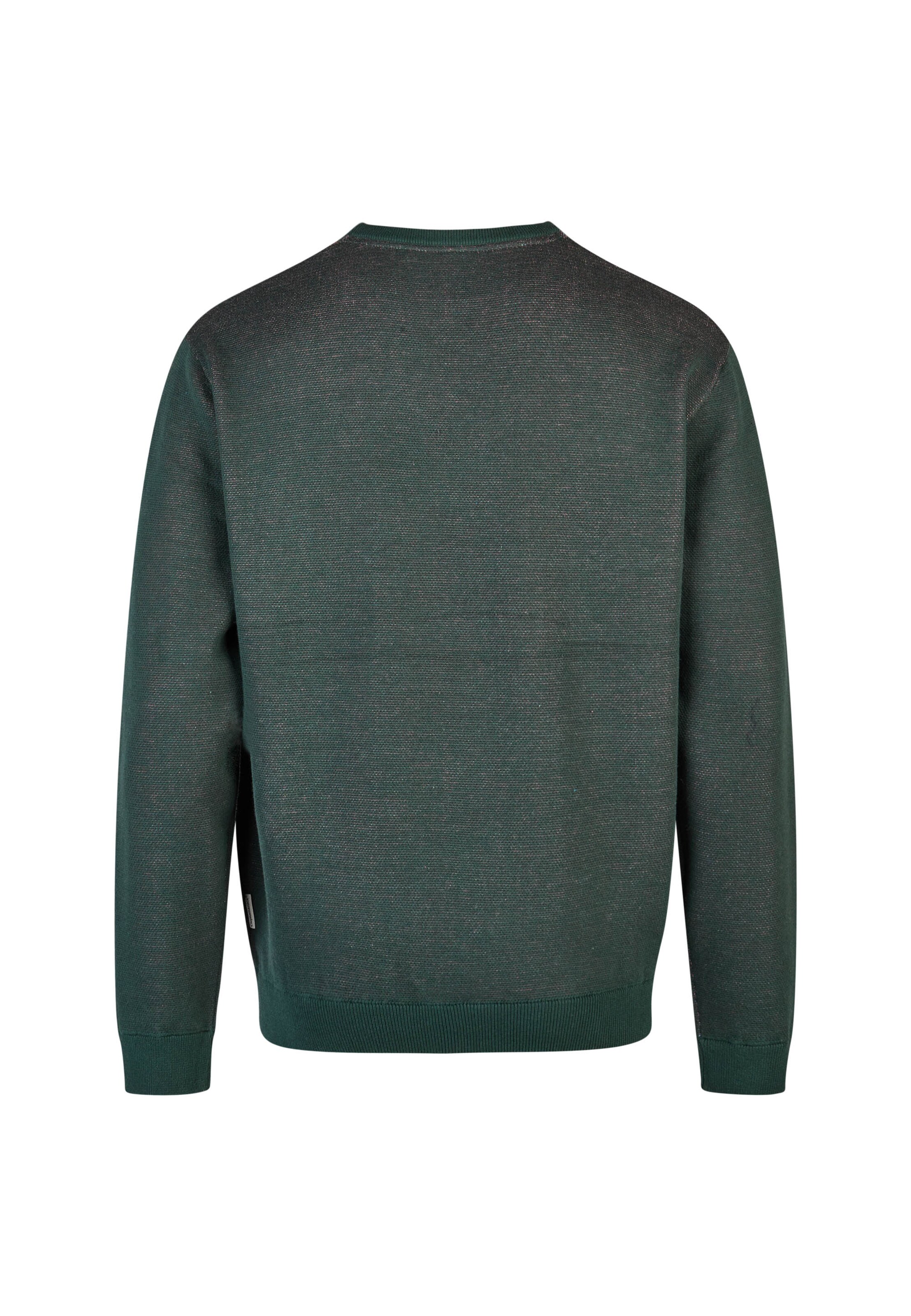 Cleptomanicx Sweater 'Cat & Dog' in Green