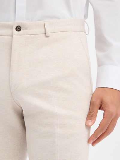 ROY ROBSON Suit in Beige, Item view