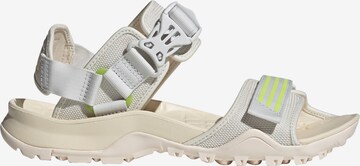 ADIDAS TERREX Sandals 'Cyprex Ultra II DLX' in Grey