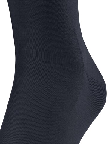 FALKE Knee High Socks 'ClimaWool' in Blue
