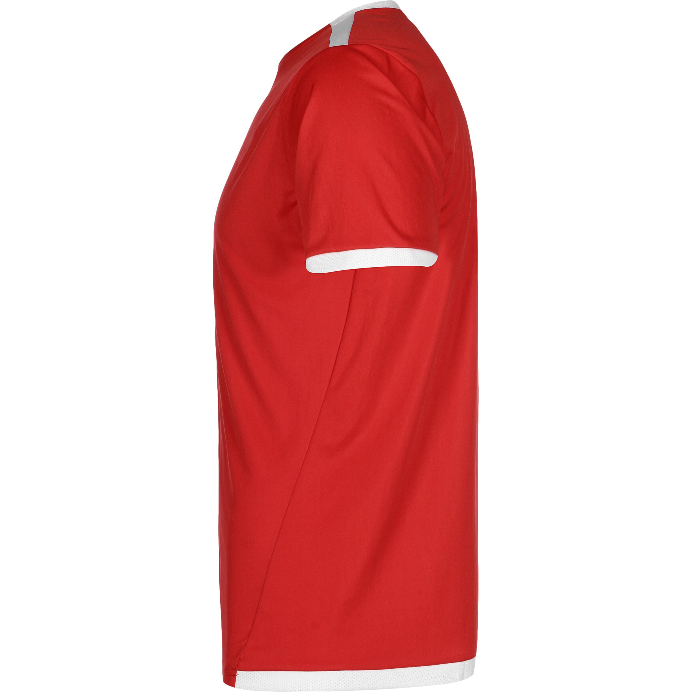 PUMA Trikot 'TeamLiga' in Rot