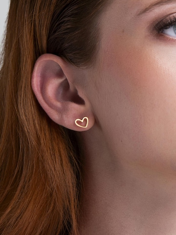 Amberz Oorbellen 'Ame' in Goud