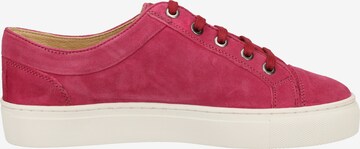 SANSIBAR Sneakers laag in Roze