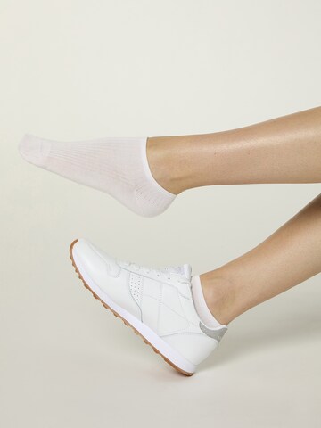 Nur Die Enkelsokken ' Modal Socken Sneaker Füßlinge kurz ' in Lila