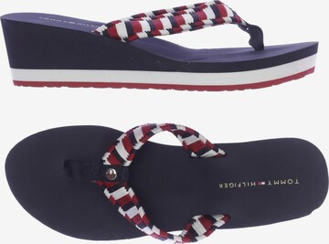 TOMMY HILFIGER Sandals & High-Heeled Sandals in 40 in Mixed colors: front