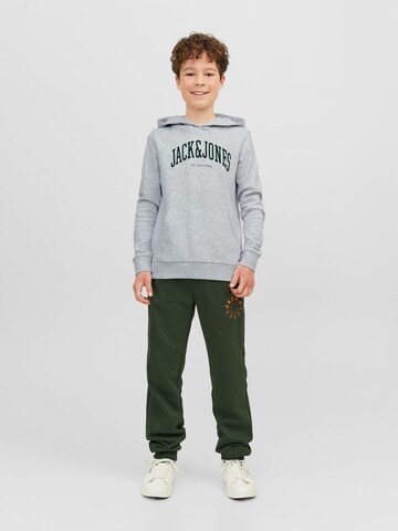 Jack & Jones Junior Sweatshirt 'JJEJosh' i grå