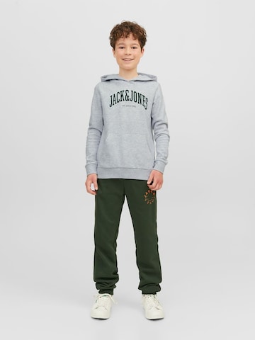 Jack & Jones Junior Sweatshirt 'JOSH' i grå