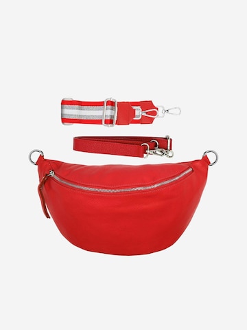 SevaBags Crossbody Bag in Red: front