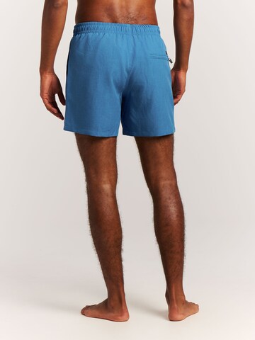 Shorts de bain 'Davey' PROTEST en bleu