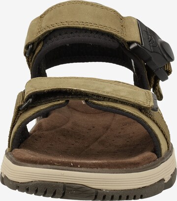 CLARKS Wandelsandalen in Groen