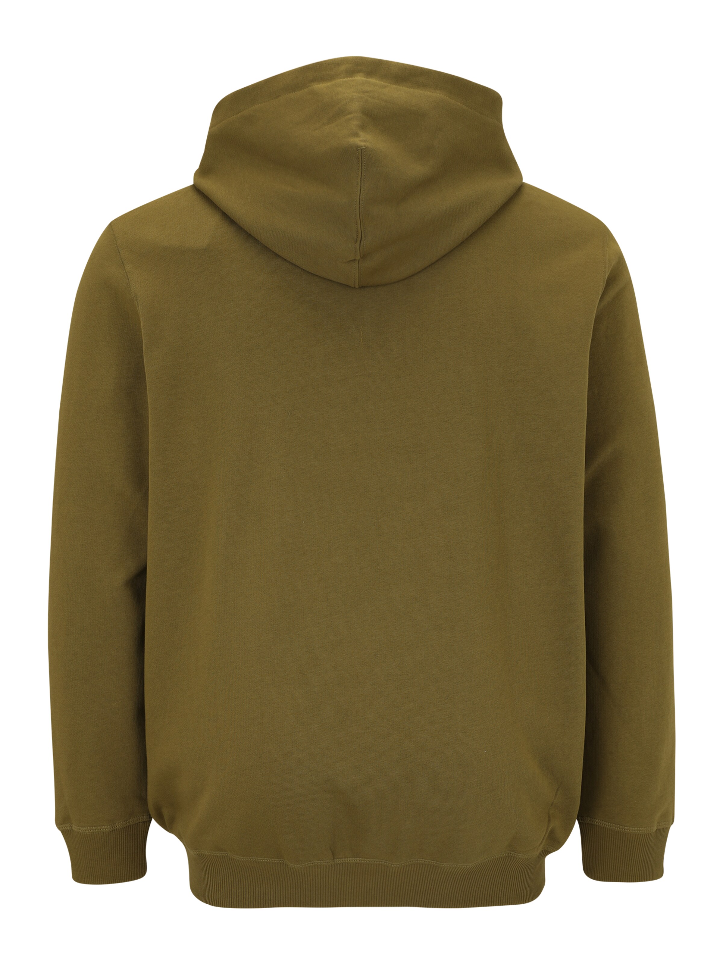 Hanorac 'JORNORREBRO' de la Jack & Jones Plus pe verde