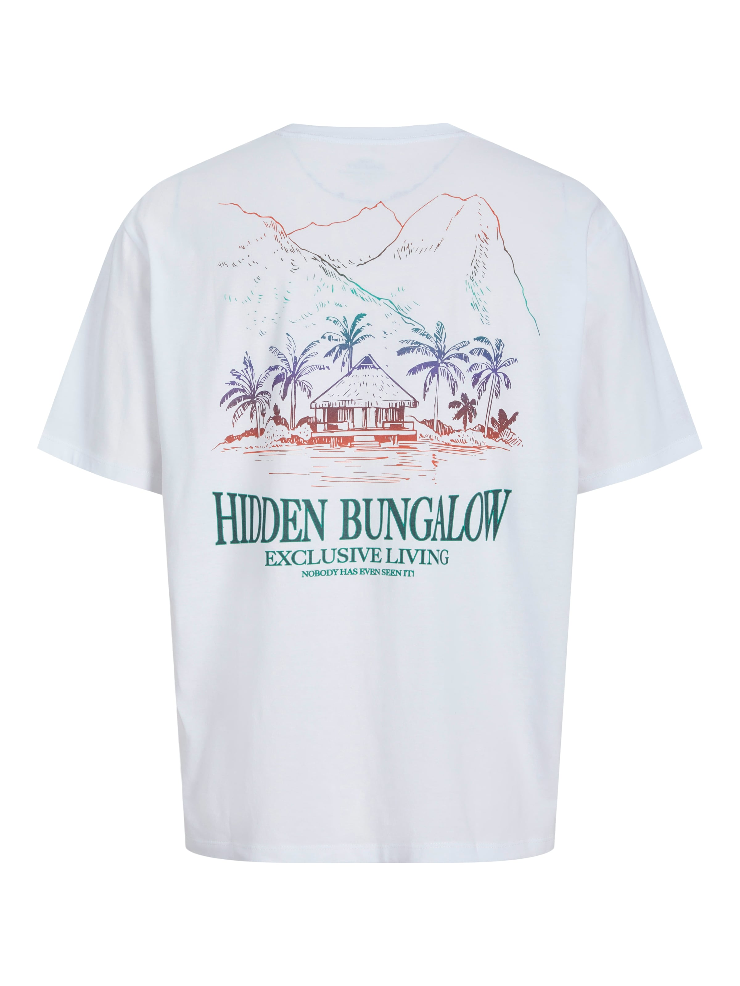 JACK & JONES Футболка 'JORWOWIE' в Белый