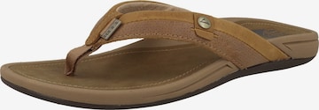 REEF Beach & Pool Shoes 'Pacific' in Brown: front