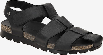 PANAMA JACK Sandals 'Panama Jack Stanley C2 Herren Sandale schwarz' in Black: front