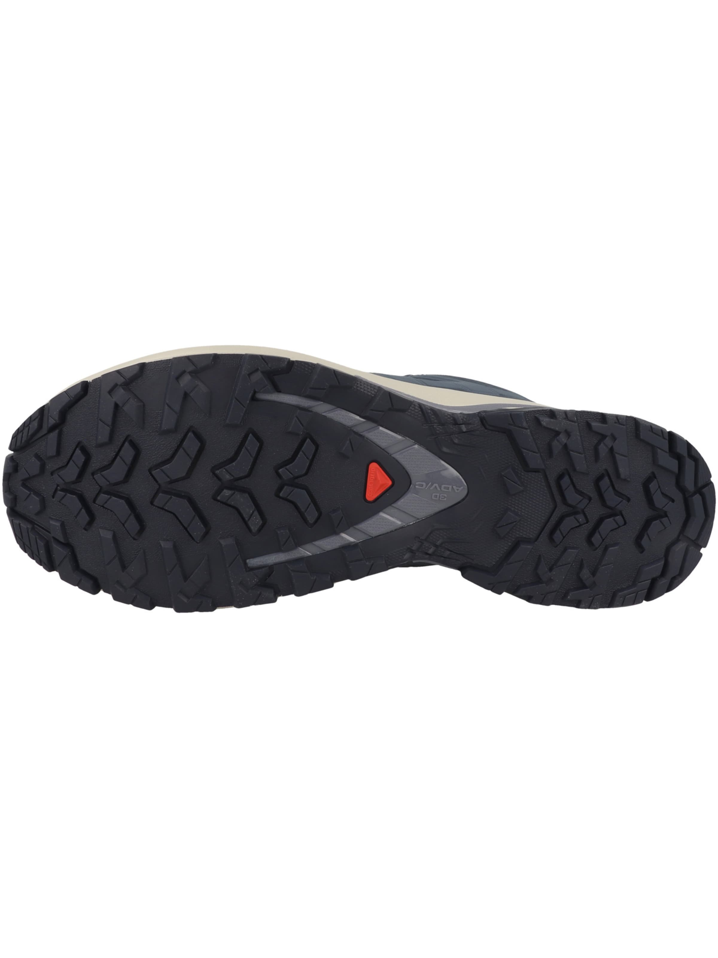SALOMON Laufschuh 'XA Pro 3D V9' in Blau