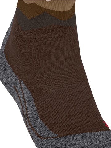 FALKE Sportsocken 'TK2 Explore'‌‌‌‌‌‌‌ in Braun