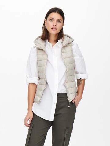 Gilet 'New Tahoe' ONLY en beige : devant